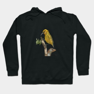 ‘Ākiapōlā’au, Hawaiian Bird Hoodie